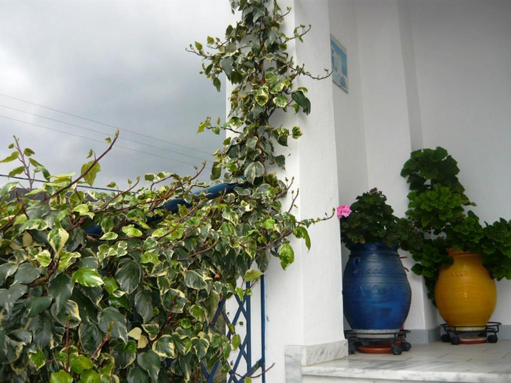Villa Stegiovana Ставрос Екстериор снимка